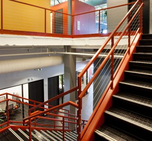 GLMV Architecture