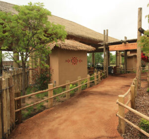 GLMV-Zoos-Landscape-Design-Elephant-Exhibit