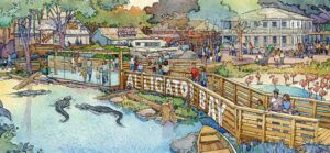 GLMV-Zoo-Design-Firm
