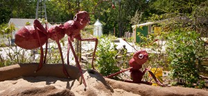 GLMV-Landscape-Botanica-Children's-Garden