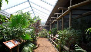 Sedgwick County Zoo Tropics Building, GLMV Architecture