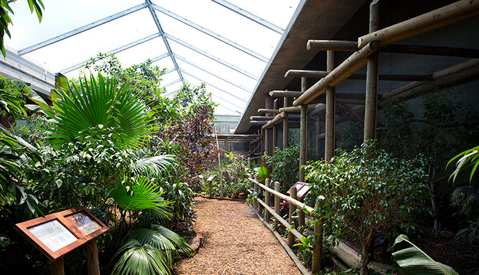 Sedgwick County Zoo Tropics Building, GLMV Architecture