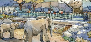 GLMV-Zoos-Topeka