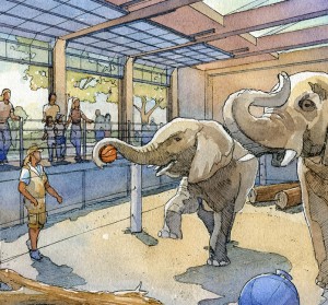 GLMV-Zoos-Topeka