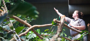 Sedgwick County Zoo Tropics Building, GLMV Architecture