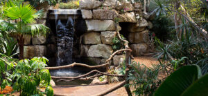 Sedgwick County Zoo Tropics Building, GLMV Architecture