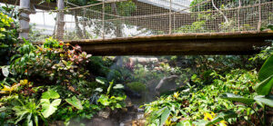 Sedgwick County Zoo Tropics Building, GLMV Architecture