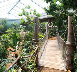Sedgwick County Zoo Tropics Building, GLMV Architecture