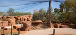 layout of australian adventures exhibit