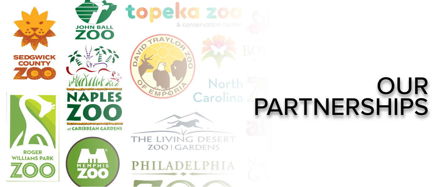 Our Proud Partners