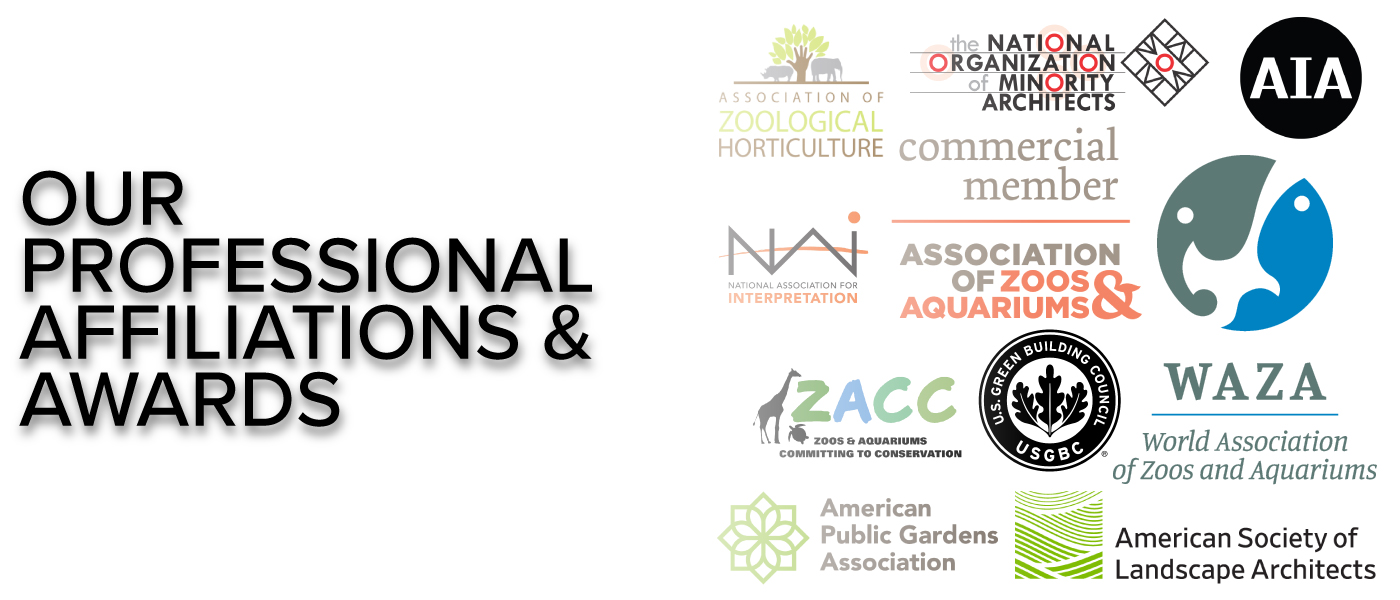 Professional Affiliations & Awards