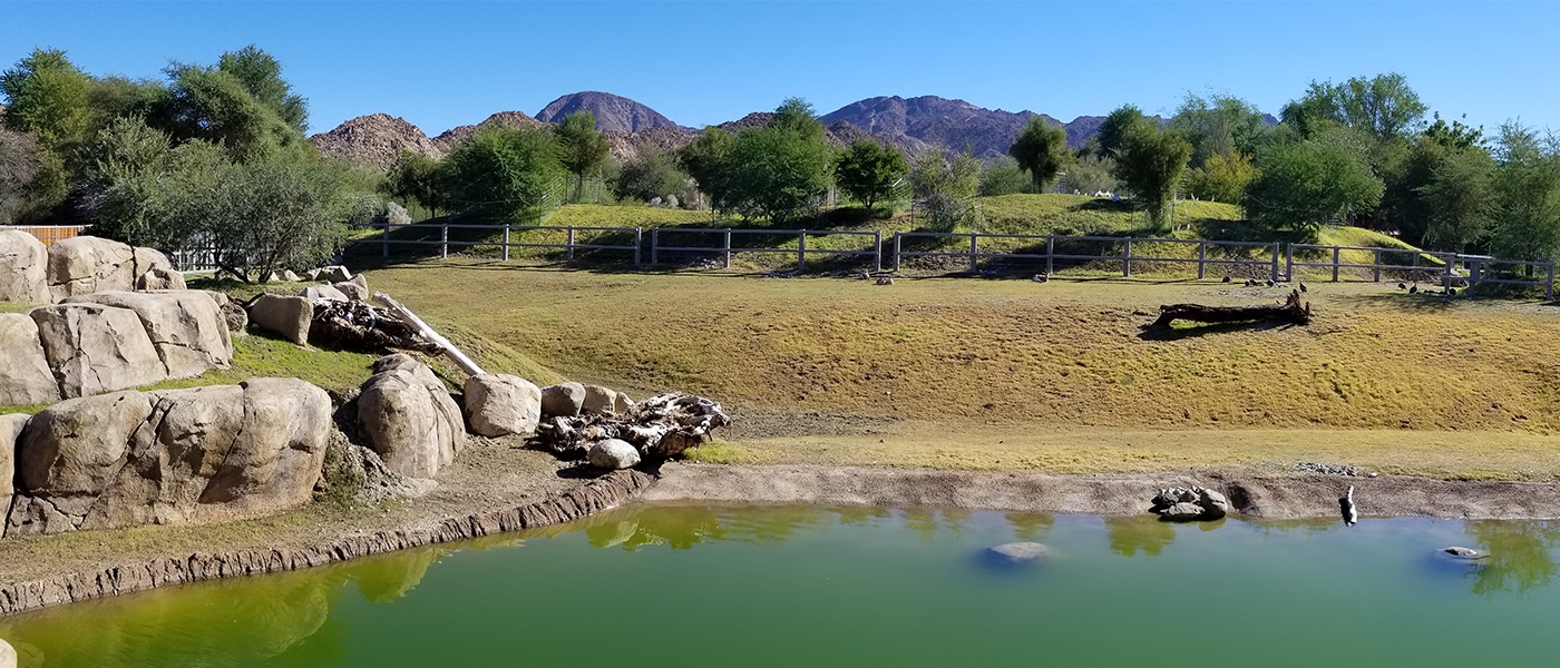 Living Desert Zoo And Gardens | Rhino Savannah