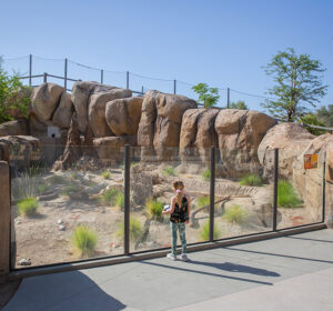 guest viewing incased desert habitat