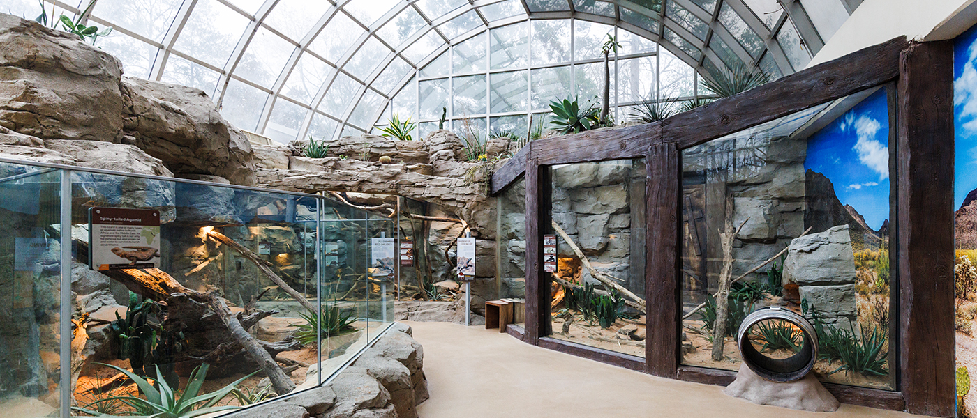 Riverbanks Zoo & Garden | The Darnall W and Susan F Boyd Aquarium & Reptile Conservation Center