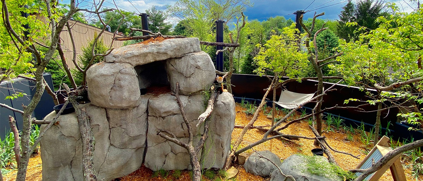 Akron Zoo | Wild Asia