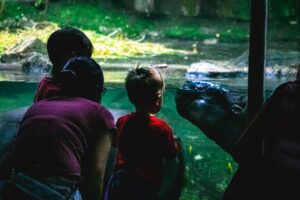 Kids Studying Hippo - GLMV Echo Digital Innovation