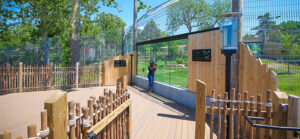 secondary viewing area for tiger habitat