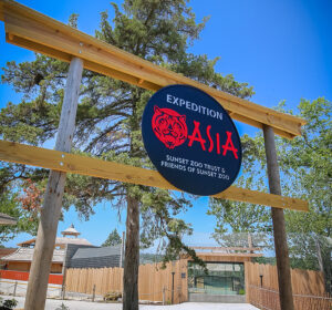 expedition asia sign