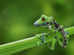 Is There a Place for Animatronic Animals in Zoo & Aquariums?